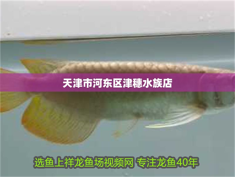<strong><mark>天津</mark></strong>市河東區津穗水族店