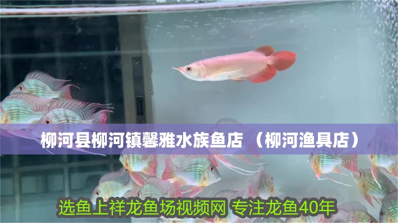 柳河縣柳河鎮馨雅水族魚店 （柳河漁具店）
