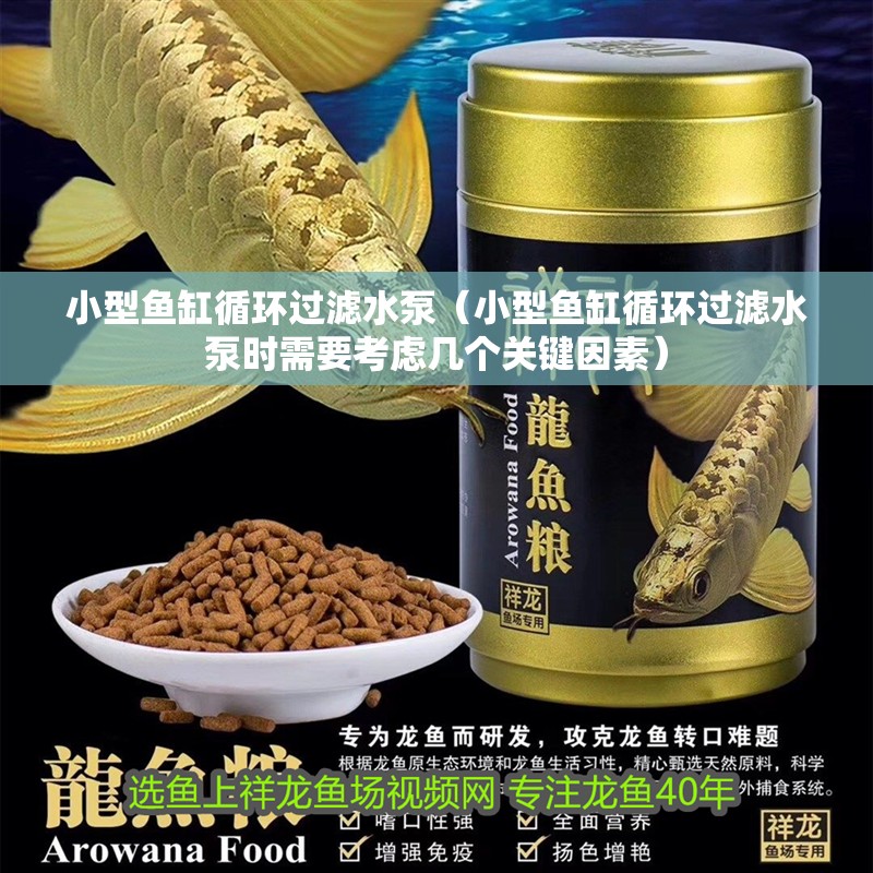 小型魚缸循環過濾水泵（小型魚缸循環過濾水泵時需要考慮幾個關鍵因素）