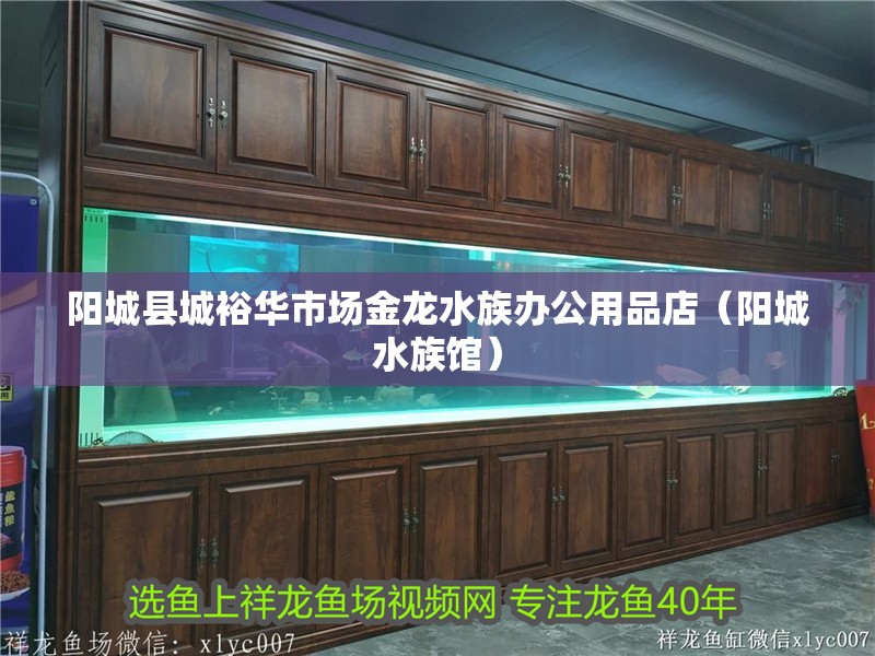 陽(yáng)城縣城裕華市場(chǎng)金龍水族辦公用品店（陽(yáng)城水族館）