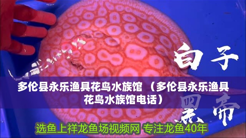 多倫縣永樂漁具花鳥水族館 （多倫縣永樂漁具花鳥水族館電話）