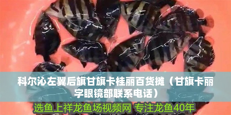 科爾沁左翼后旗甘旗卡桂麗百貨攤（甘旗卡麗字眼鏡部聯系電話）