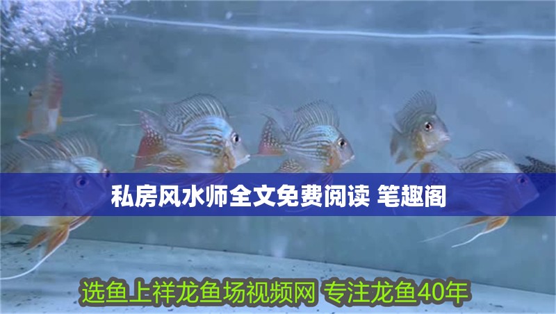 私房風水師全文免費閱讀 筆趣閣