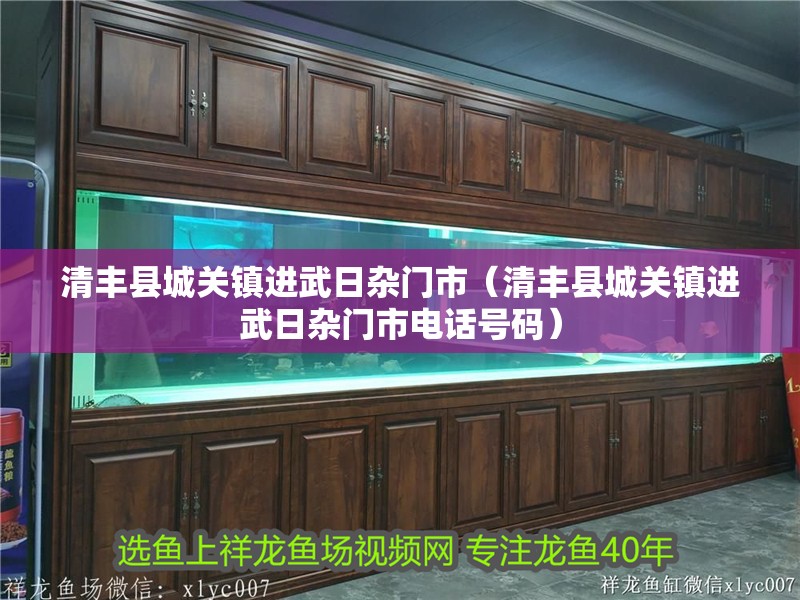 清豐縣城關鎮進武日雜門市（清豐縣城關鎮進武日雜門市電話號碼）
