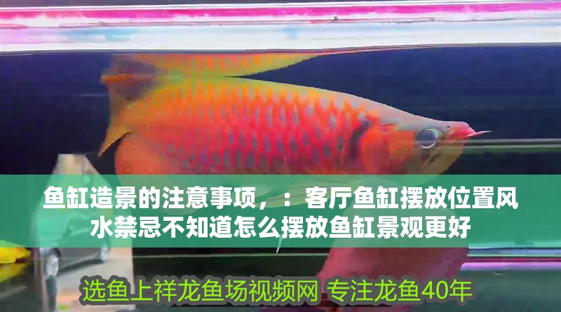 魚缸造景的注意事項(xiàng)，：客廳魚缸擺放位置風(fēng)水禁忌不知道怎么擺放魚缸景觀更好