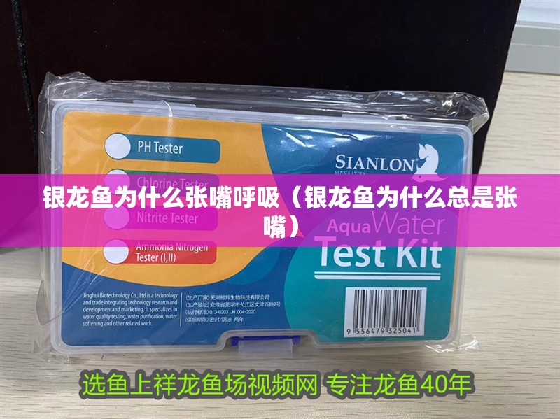 銀龍魚為什么張嘴呼吸（銀龍魚為什么總是張嘴）