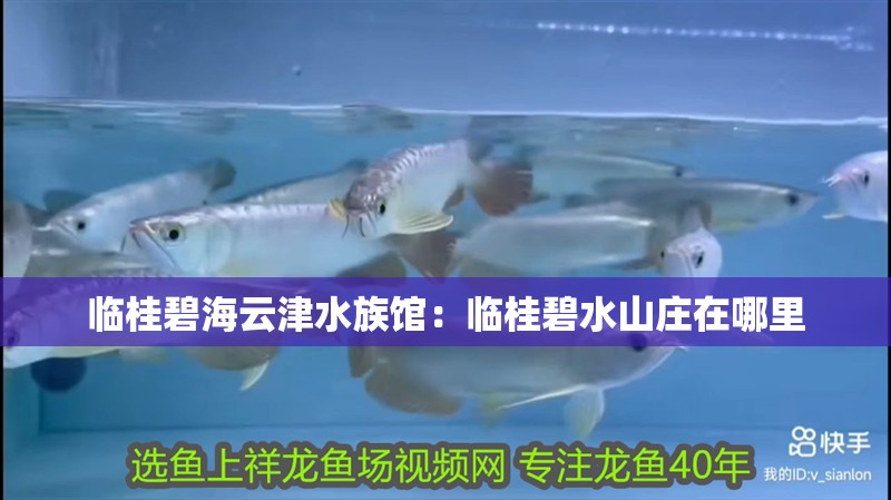 臨桂碧海云津水族館：臨桂碧水山莊在哪里