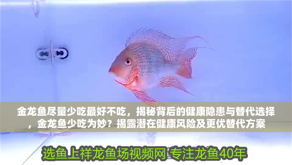 金龍魚盡量少吃最好不吃，揭秘背后的健康隱患與替代選擇，金龍魚少吃為妙？揭露潛在健康風險及更優(yōu)替代方案 金龍魚盡量少吃最好不吃，揭秘背后的健康隱患與替代選擇，金龍魚少吃為妙？揭露潛在健康風險及更優(yōu)替代方案 龍魚百科 第1張