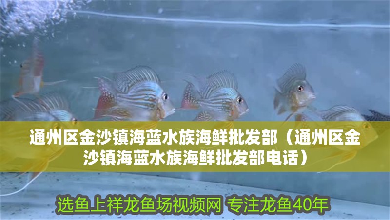 通州區金沙鎮海藍水族海鮮批發部（通州區金沙鎮海藍水族海鮮批發部電話） 通州區金沙鎮海藍水族海鮮批發部（通州區金沙鎮海藍水族海鮮批發部電話） 全國水族館企業名錄