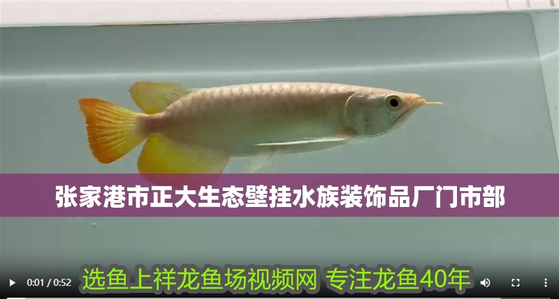 張家港市正大生態壁掛水族裝飾品廠門市部