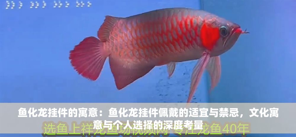魚化龍掛件的寓意：魚化龍掛件佩戴的適宜與禁忌，文化寓意與個人選擇的深度考量