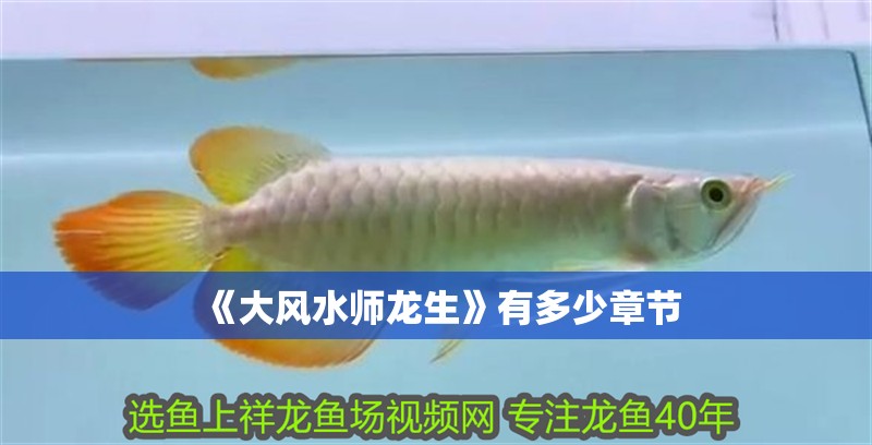 《大風水師龍生》有多少章節