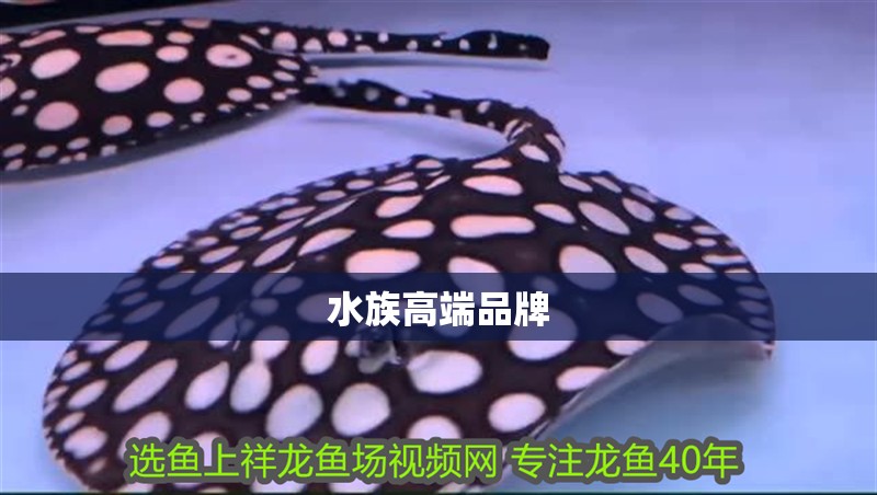 水族高端品牌
