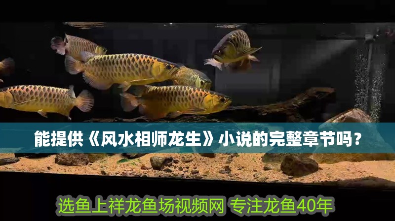 能提供《風(fēng)水相師龍生》小說(shuō)的完整章節(jié)嗎？
