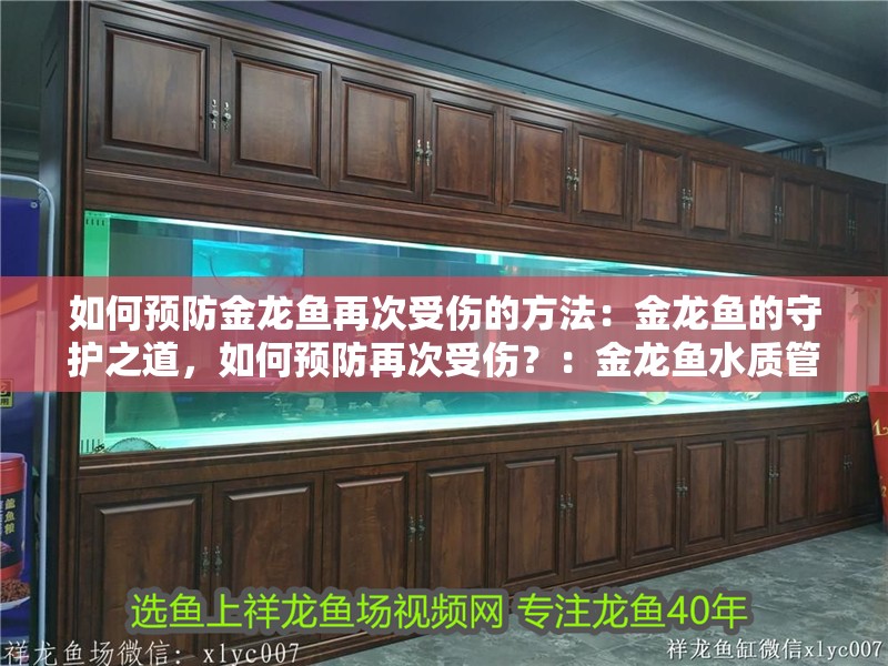 如何預防金龍魚再次受傷的方法：金龍魚的守護之道，如何預防再次受傷？：金龍魚水質管理