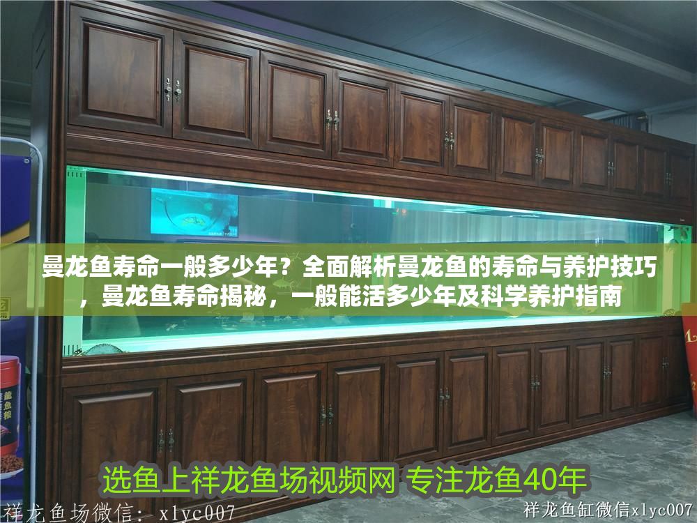 曼龍魚壽命一般多少年？全面解析曼龍魚的壽命與養護技巧，曼龍魚壽命揭秘，一般能活多少年及科學養護指南