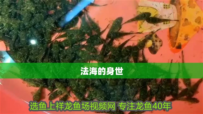 法海的身世