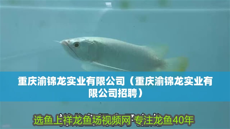 重慶渝錦龍實業(yè)有限公司（重慶渝錦龍實業(yè)有限公司招聘）