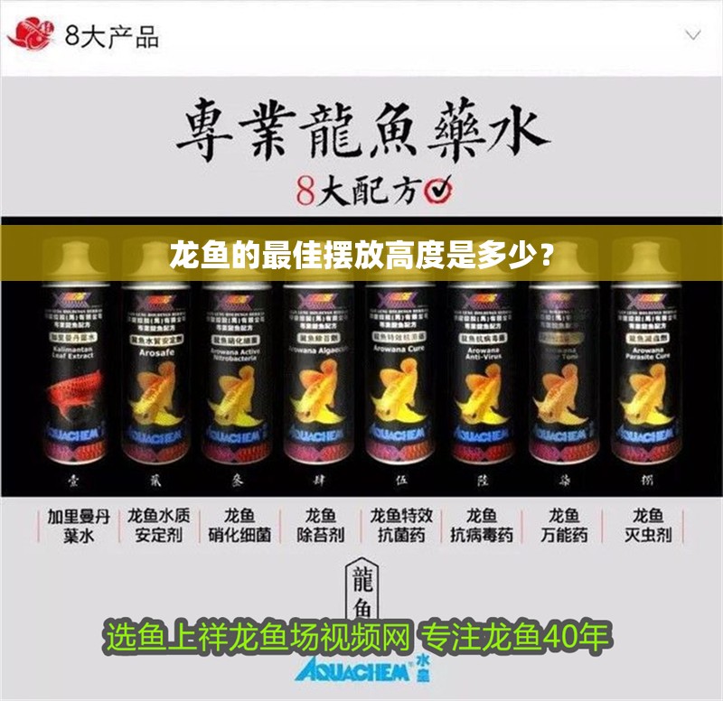 龍魚的最佳擺放高度是多少？ 龍魚的最佳擺放高度是多少？ 龍魚百科