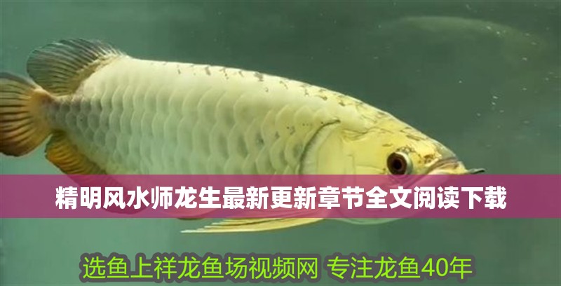 精明風(fēng)水師龍生最新更新章節(jié)全文閱讀下載