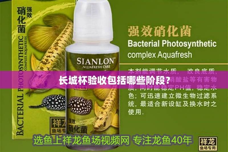 長城杯驗收包括哪些階段？