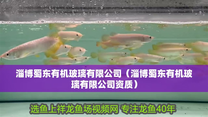 魚缸過濾器選購指南:自制魚缸過濾器魚缸上置過濾器對于養魚愛好者的必備知識 淄博蜀東有機玻璃有限公司(淄博蜀東有機玻璃有限公司資質) 全國水族館企業名錄 淄博蜀東有機玻璃有限公司(淄博蜀東有機玻璃有限公司資質) 淄博蜀東有機玻璃有限公司(淄博蜀東有機玻璃有限公司資質) 全國水族館企業名錄