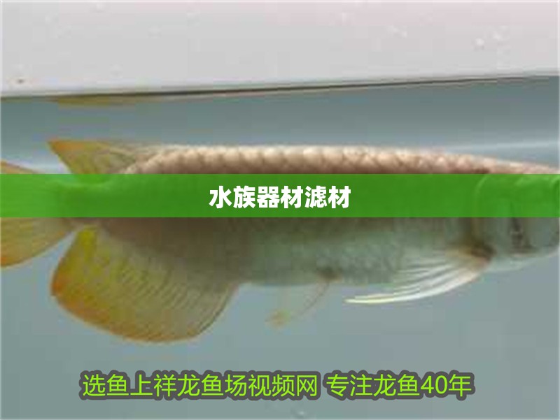 水族器材濾材
