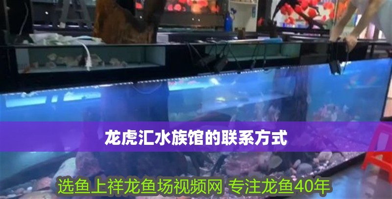 龍虎匯水族館的聯(lián)系方式
