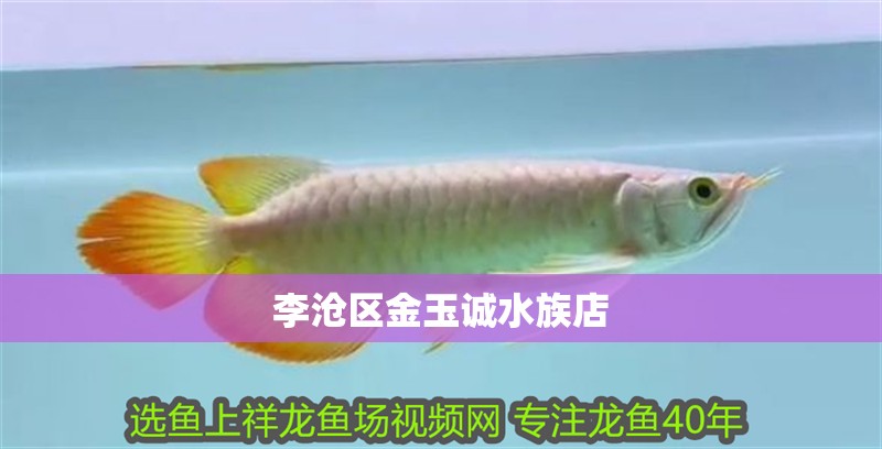 李滄區金玉誠水族店
