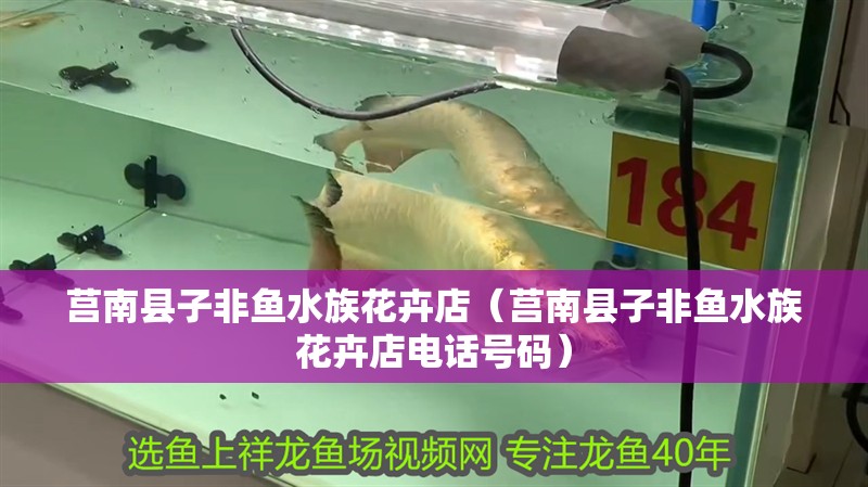 莒南縣子非魚水族花卉店（莒南縣子非魚水族花卉店電話號碼）