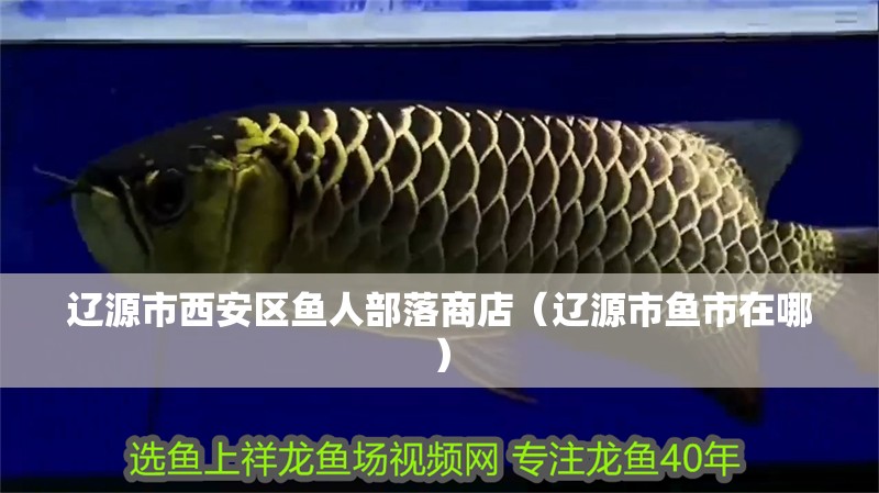 遼源市西安區(qū)魚人部落商店（遼源市魚市在哪）