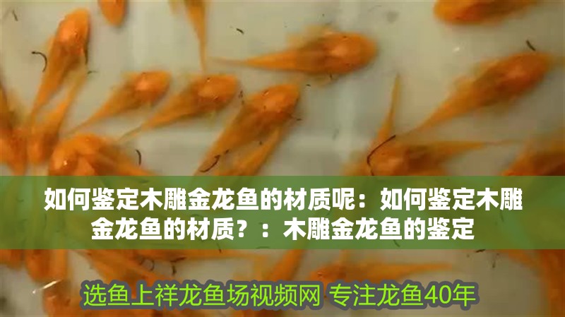 如何鑒定木雕金龍魚的材質(zhì)呢：如何鑒定木雕金龍魚的材質(zhì)？：木雕金龍魚的鑒定