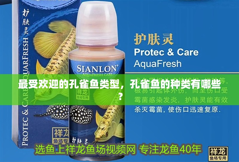 最受歡迎的孔雀魚(yú)類(lèi)型，孔雀魚(yú)的種類(lèi)有哪些？