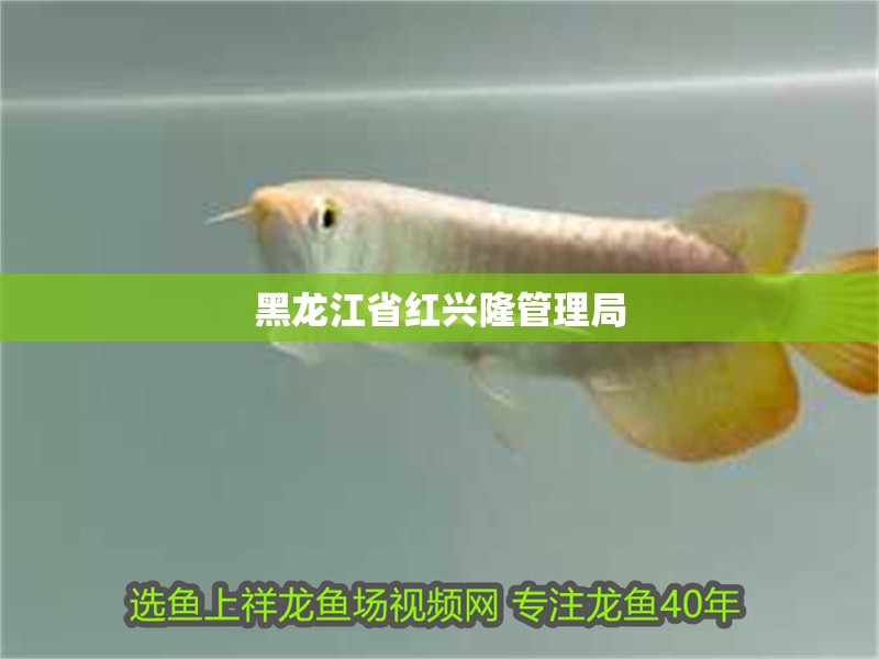 黑龍江省紅興隆管理局