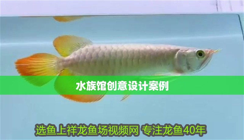 水族館創意設計案例