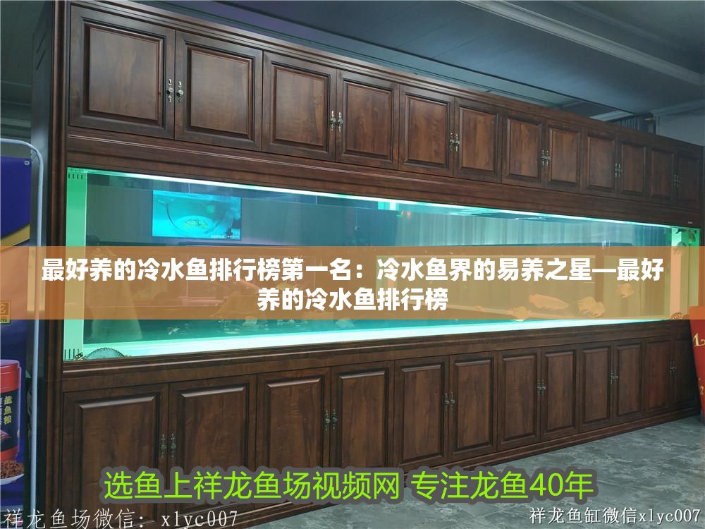 最好養(yǎng)的冷水魚(yú)排行榜第一名：冷水魚(yú)界的易養(yǎng)之星—最好養(yǎng)的冷水魚(yú)排行榜