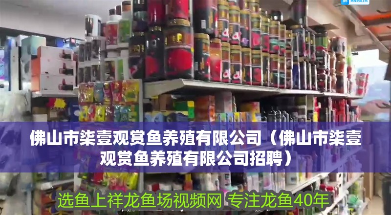 佛山市柒壹觀賞魚養(yǎng)殖有限公司（佛山市柒壹觀賞魚養(yǎng)殖有限公司招聘）