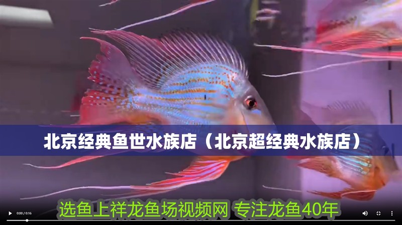 北京經典魚世水族店（北京超經典水族店）