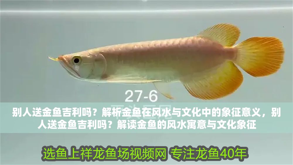 別人送金魚吉利嗎？解析金魚在風水與文化中的象征意義，別人送金魚吉利嗎？解讀金魚的風水寓意與文化象征