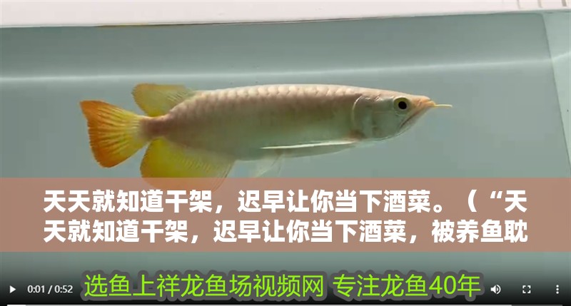 天天就知道干架，遲早讓你當下酒菜。（“天天就知道干架，遲早讓你當下酒菜，被養魚耽誤的建筑師評論”）