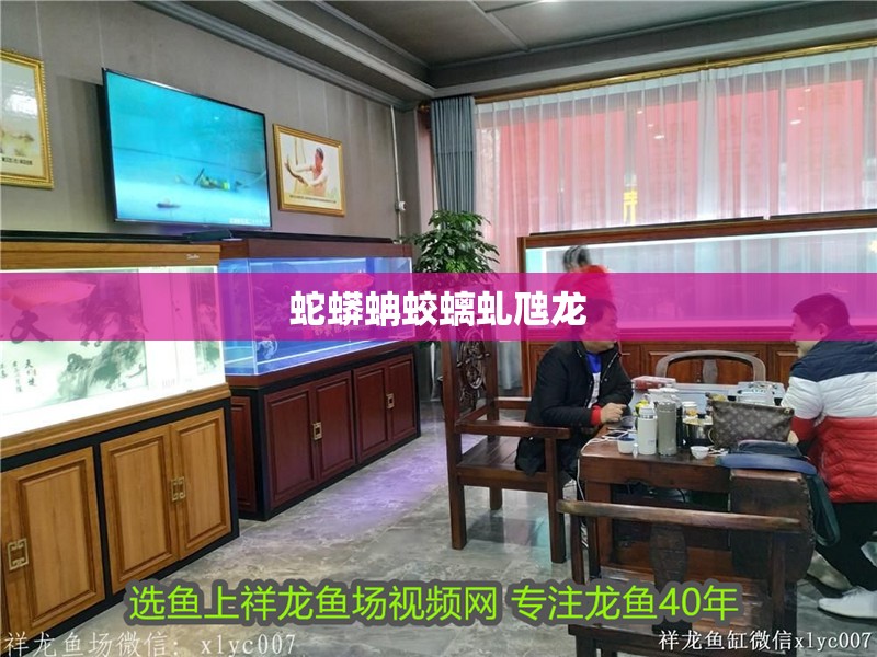 蛇蟒蚺蛟螭虬虺龍