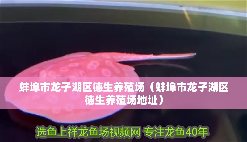 蚌埠市龍子湖區德生養殖場（蚌埠市龍子湖區德生養殖場地址）