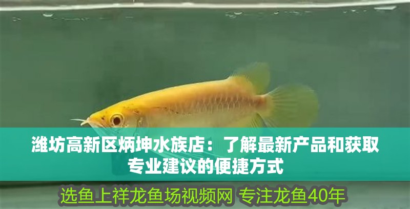 濰坊高新區炳坤水族店：了解最新產品和獲取專業建議的便捷方式