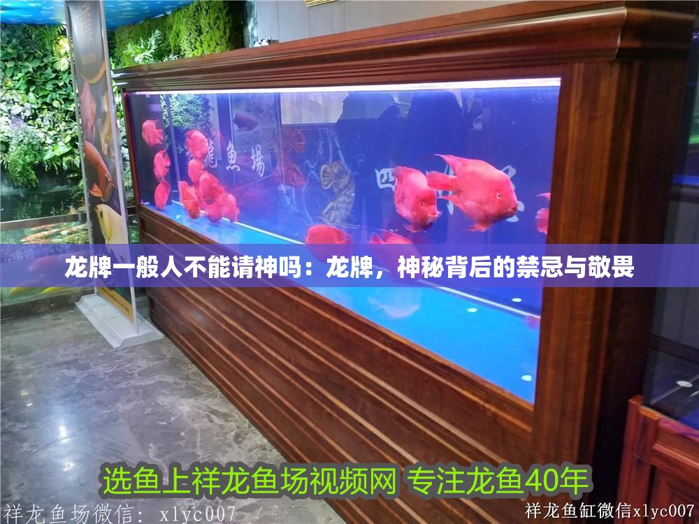 龍牌一般人不能請神嗎：龍牌，神秘背后的禁忌與敬畏