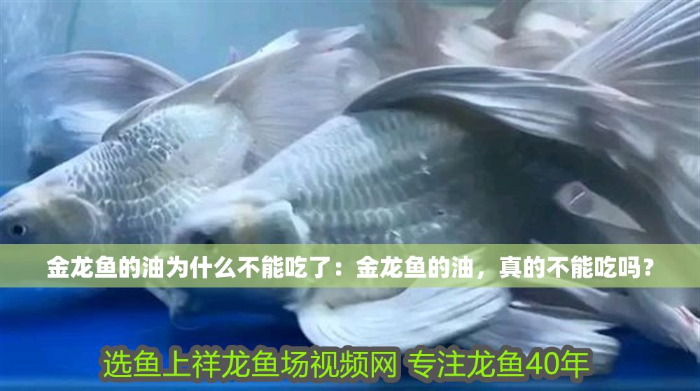 金龍魚的油為什么不能吃了：金龍魚的油，真的不能吃嗎？