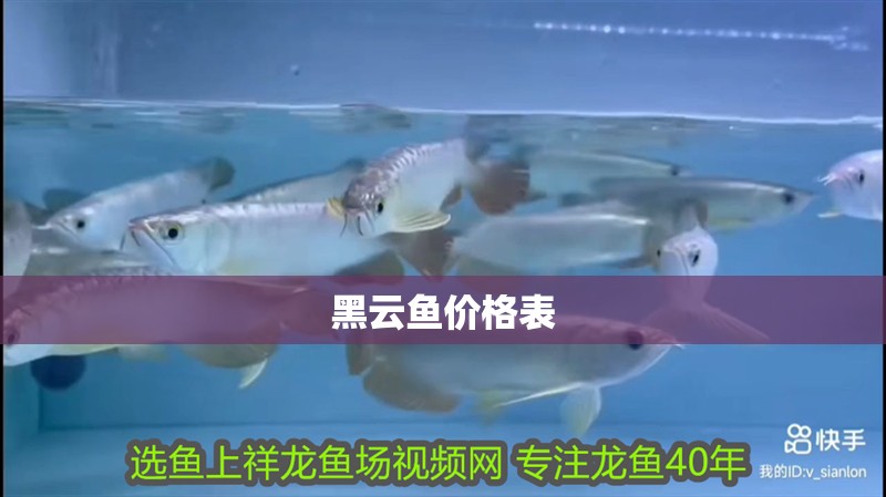 黑云魚價格表 黑云魚價格表 龍魚論壇