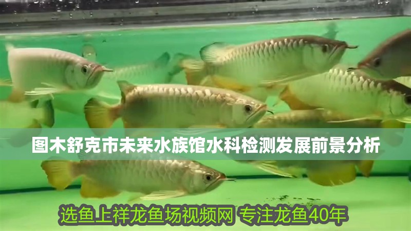 圖木舒克市未來水族館水科檢測發展前景分析