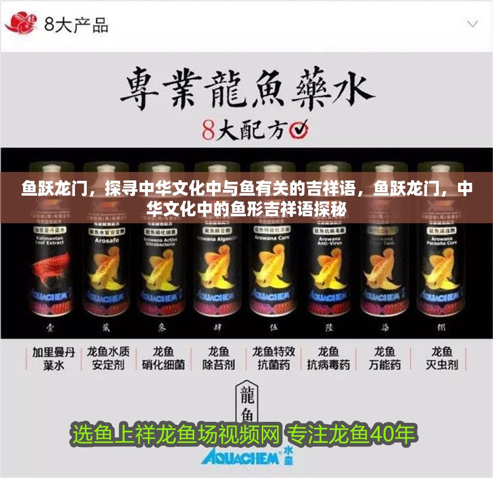 魚躍龍門，探尋中華文化中與魚有關的吉祥語，魚躍龍門，中華文化中的魚形吉祥語探秘