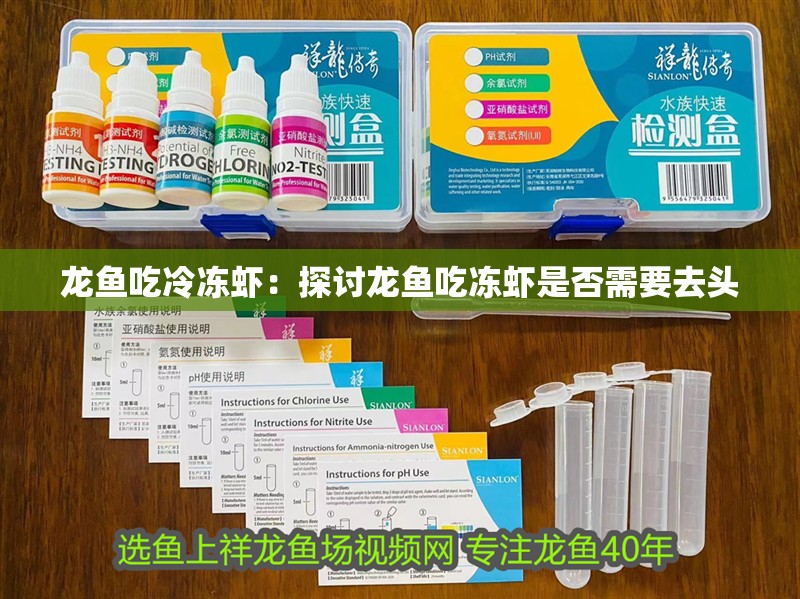 龍魚吃冷凍蝦：探討龍魚吃凍蝦是否需要去頭