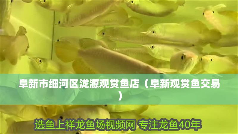 我的虎魚真菌感染了要怎么處理 阜新市細河區(qū)瀧源觀賞魚店(阜新觀賞魚交易) 全國水族館企業(yè)名錄 阜新市細河區(qū)瀧源觀賞魚店(阜新觀賞魚交易) 阜新市細河區(qū)瀧源觀賞魚店(阜新觀賞魚交易) 全國水族館企業(yè)名錄